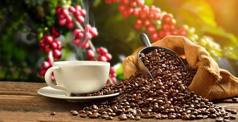 The Art of the Perfect Medium Roast